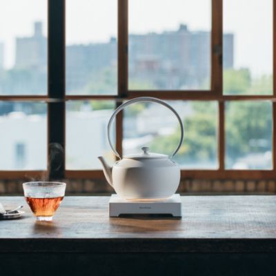 MoonKettle Electric Kettle