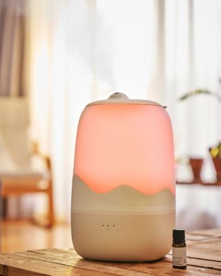 Cool Mist Humidifier