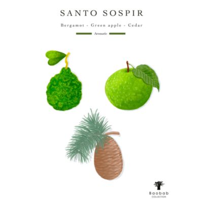 Max 35 Riviera Santo Sospir Candle