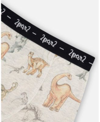 Boys' Printed Organic Cotton Boxer Shorts - Little Kid, Big Kid