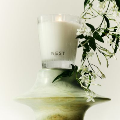 Indian Jasmine Classic Candle, 8.1 oz.