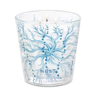 Ocean Mist & Sea Salt Decorative 3-Wick Candle, 21.2 oz.
