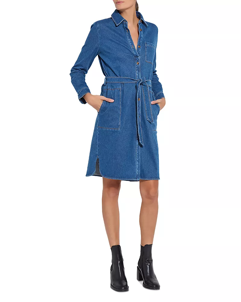 Lysse Denim Schiffer Dress