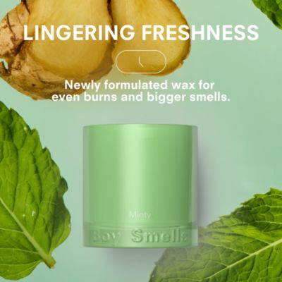 Minty Standard Candle, 8.5 oz.