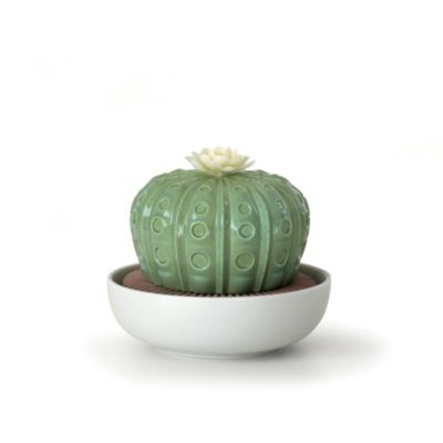 Astrophytum Cactus Diffuser - Gardens of Valencia