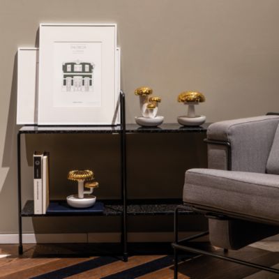 Boletus 2 Diffuser - Night Approaches