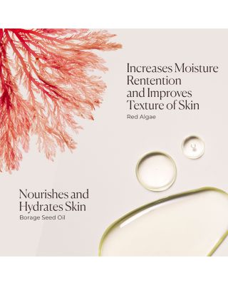 Delicious & Decadent Ambre Vanille Collection ($117 value)