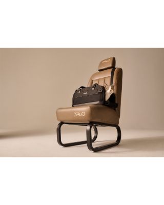 Dupree II Pet Travel System