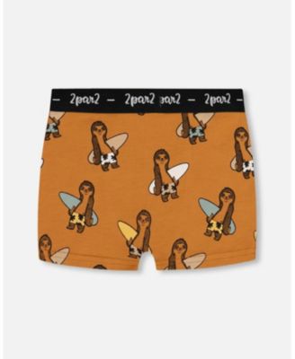 Boys' Printed Organic Cotton Boxer Shorts - Little Kid, Big Kid