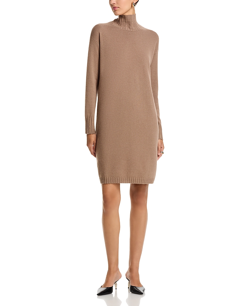 Fabiana Filippi Beaded Turtleneck Mini Sweater Dress In Brown