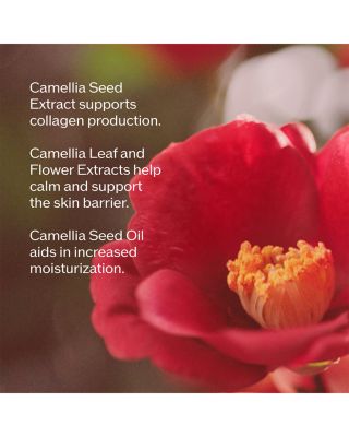 Vital Perfection Advanced Lift & Firm Set ($231 value)