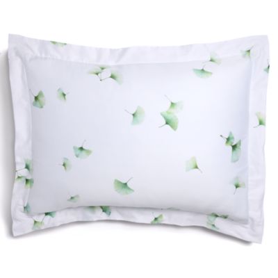 Aiko Blanc Sham, Standard