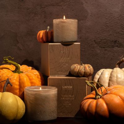 Pumpkin Seed &amp; Sandalwood Classic Candle, 6.5 oz.