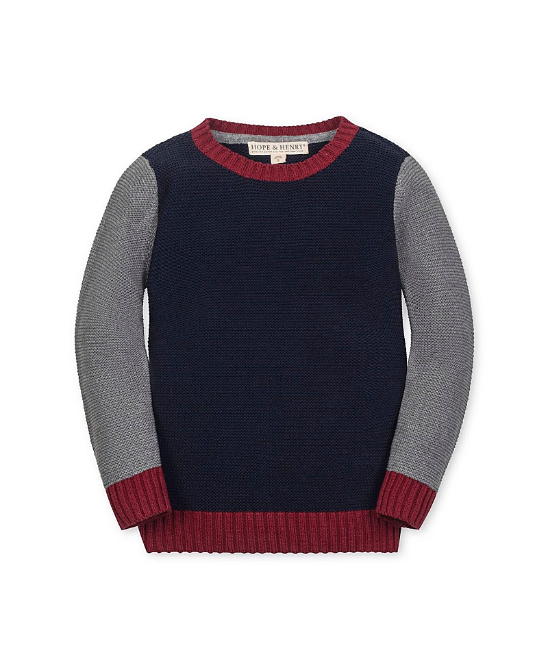 Hope & Henry Kids' Organic Long Sleeve Crewneck Pullover Sweater In Multi