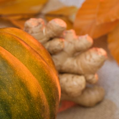 Pumpkin Ginger Pura Smart Fragrance Diffuser Refill, Set of 2