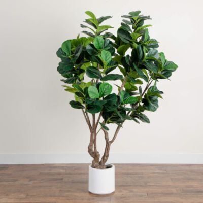 6&#39; Artificial Grand Fiddle Leaf Tree 