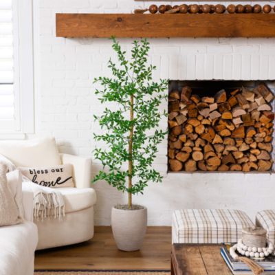 5' Artificial Shady Lady Black Olive Tree