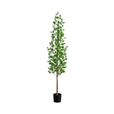 6' UV Artificial Podocarpus Tree