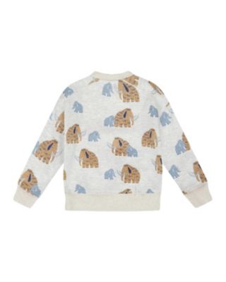 Boys' Long Sleeve Crew Neck Fleece Sweatshirt - Baby