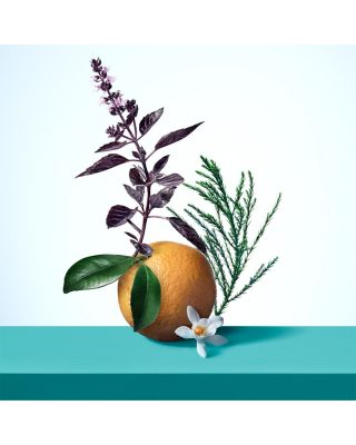 Tiffany & Love for Her Eau de Parfum Gift Set ($231 value)