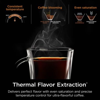 Hot &amp; Iced XL Coffee Maker with Rapid Cold Brew