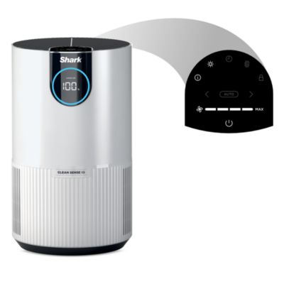 Air Purifier with True HEPA