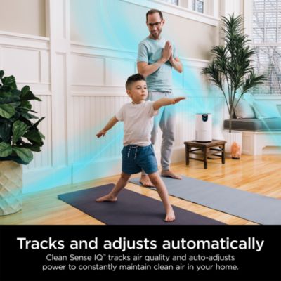 Air Purifier with True HEPA