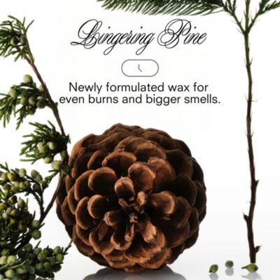 Xxmas Tree Magnum Candle 27 oz.