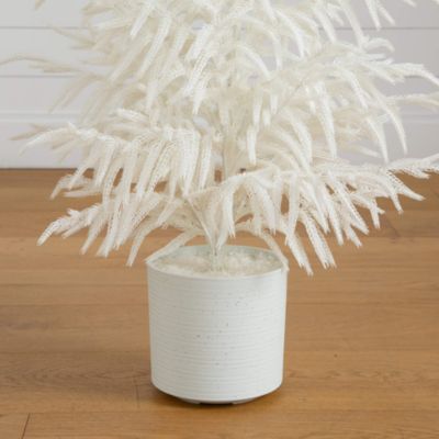 Natural Artificial Real Touch White Norfolk Island Pine 3' Christmas Tree with Natural Look