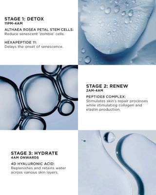 The Absolute Peptide8 Night Serum Refill