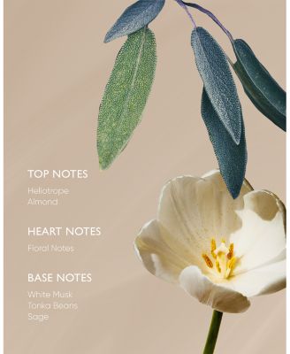 Sage Body Oil with Arnica & Hypericum 3.38 oz.