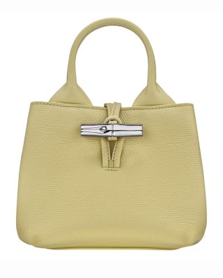 Le Roseau XS Handbag in Smooth Leather