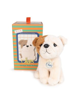  Bt Chaps Bertha The American Bulldog Floppy In Giftbox Plush 5-7 - Ages 5-7