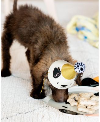 Bow Wow Puppy Dog Birthday Party Hats, Set of 8, 2 of Each Style Per Pack