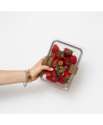  The Luncher + Container