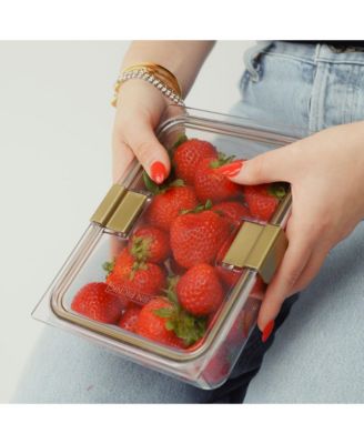  The Container, Set of 4