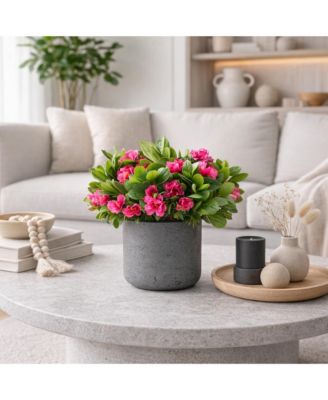 Fuchsia Bush in Black Pot Arrangement