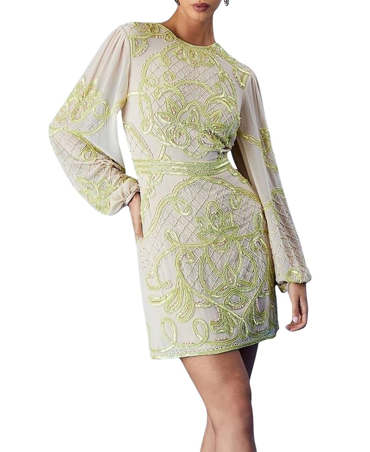 Coast Muse Chiffon Embellished Mini Dress