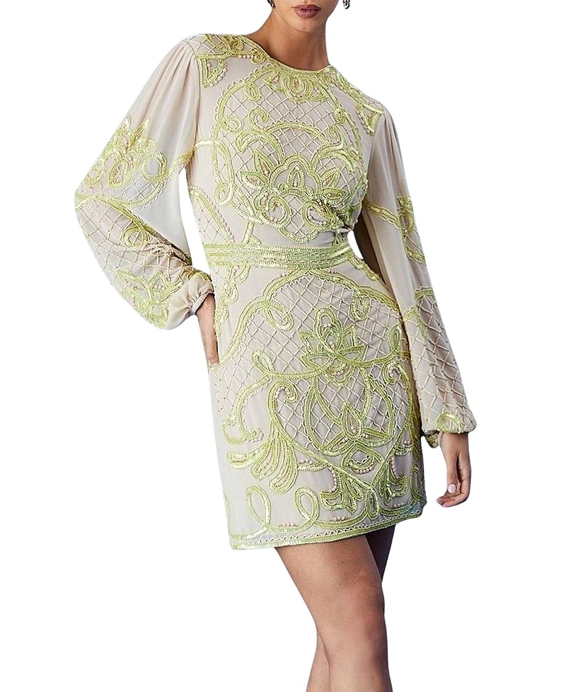 Coast Muse Chiffon Embellished Mini Dress