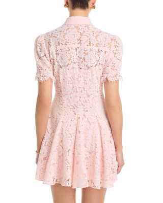 Swanetta Lace Dress