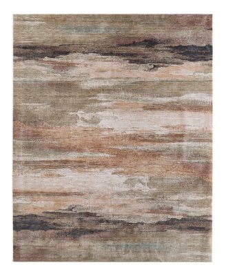 Feizy Pearson PRS39SBF Area Rug 9' x '12'