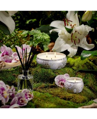 Mokara Orchid Reed Diffuser, 3.4 fl. oz.