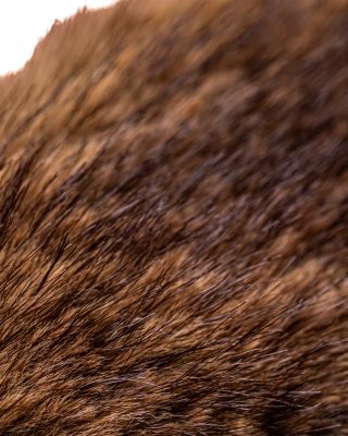 Hoppleston Luxe Bunny - Ages 12M+