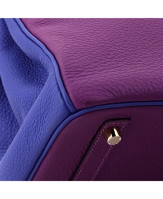 Birkin 30 Handbag Bicolor Togo with Brushed Gold Hardware