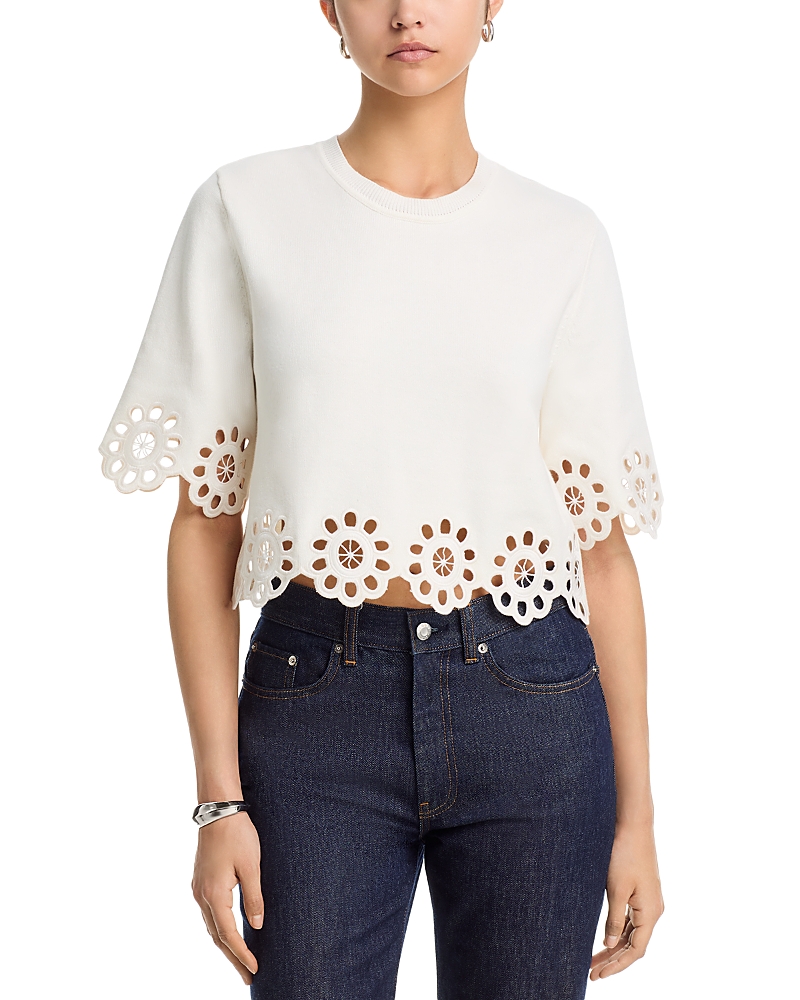 Aqua Embroidered Cutout Crop Round Neck Sweater - Exclusive
