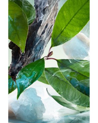 Pour Homme Eau de Parfum 1.7 oz.