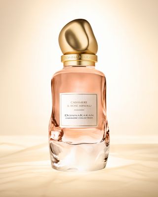 Cashmere & Rose Absolu 3.4 oz.