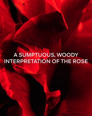 L'Art & La Mati&egrave;re Rose Barbare Eau de Parfum 3.4 oz.