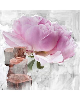 Blanche Body Wash 15.2 oz.