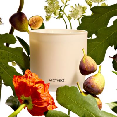 Fig and Olive 3-Wick Candle 26 oz.